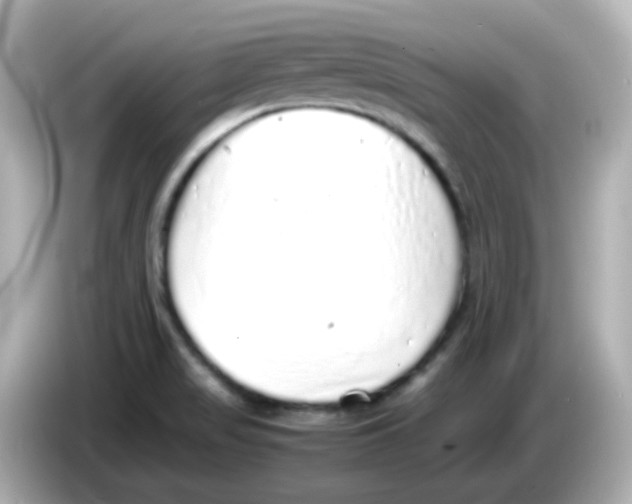 X0000085781517200704091402