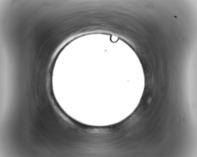 X0000085781518200704091402