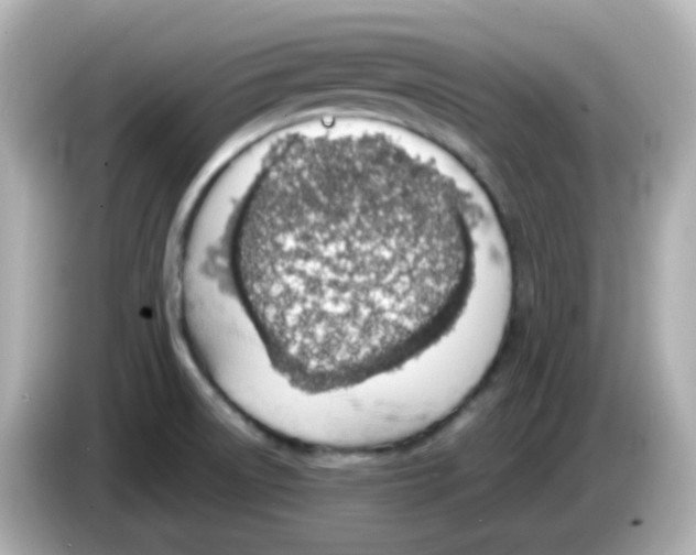 X0000085781522200704091402