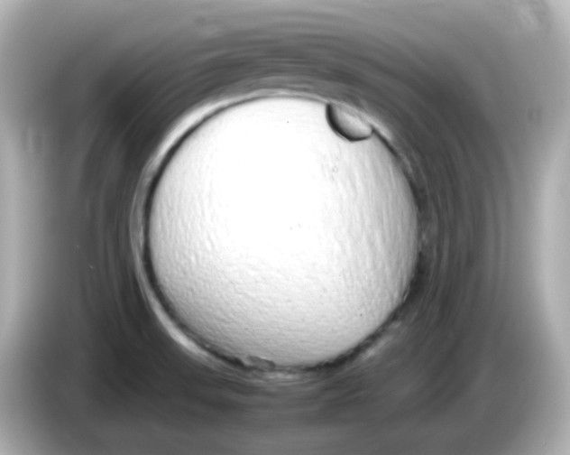 X0000085781523200704091402