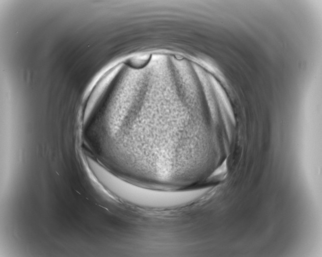 X0000085781524200704091402