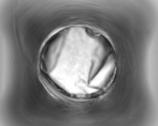 X0000085781525200704091402