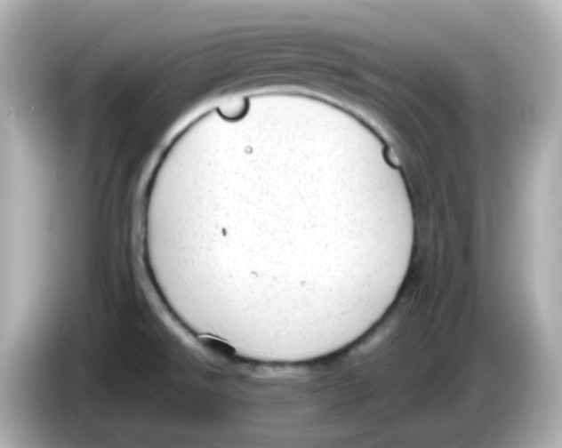 X0000085781526200704091402