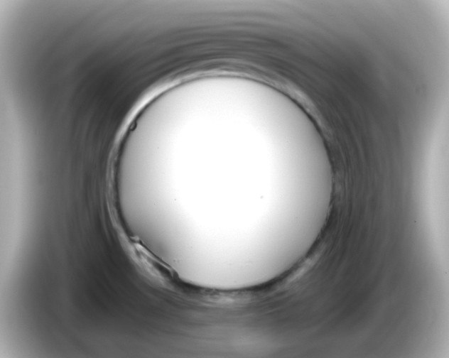 X0000085781530200704091402