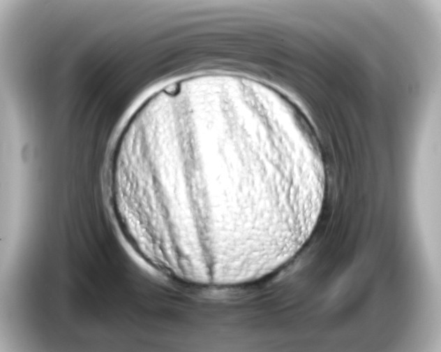 X0000085781531200704091402