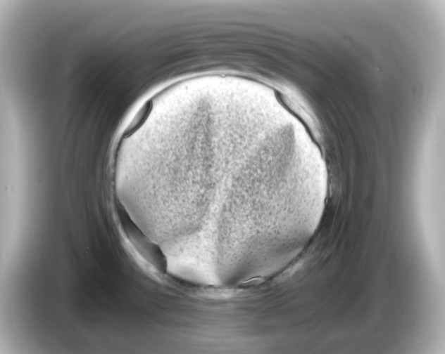 X0000085781532200704091402