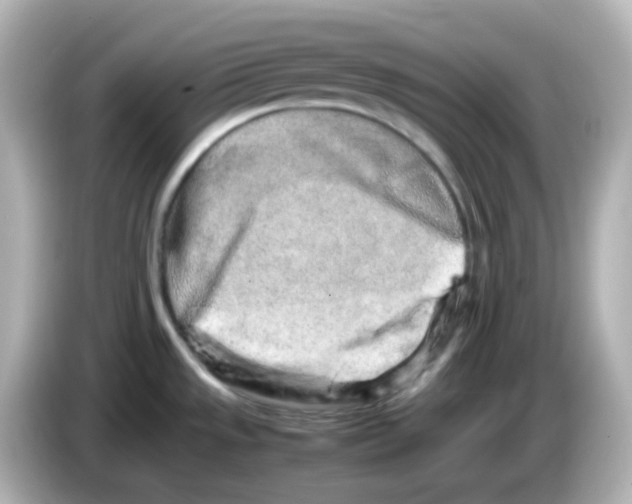 X0000085781533200704091402