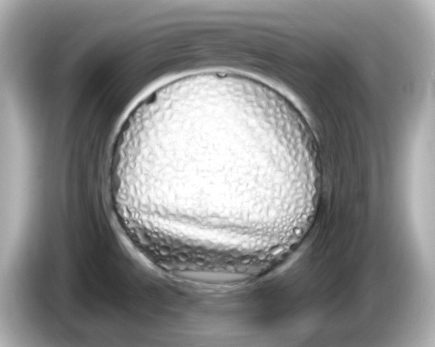 X0000085781534200704091402