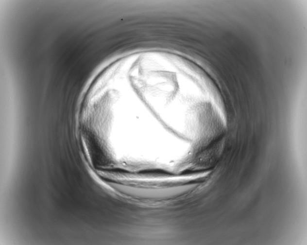 X0000085781535200704091402