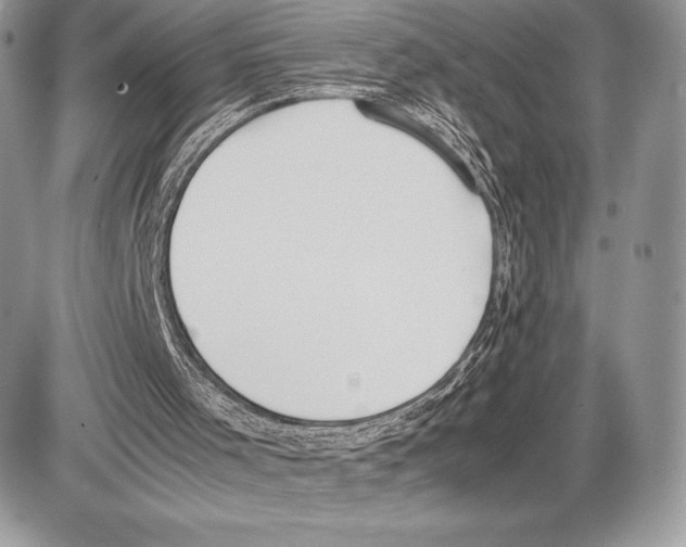 X0000085780001200704131841