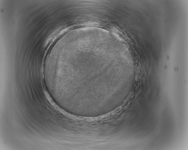 X0000085780002200704131841