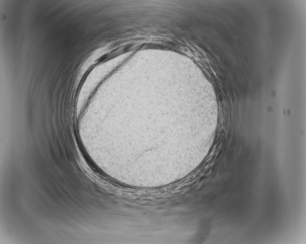 X0000085780003200704131841