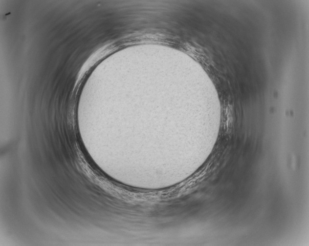 X0000085780004200704131841