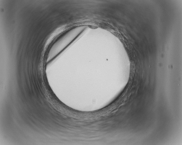 X0000085780006200704131841