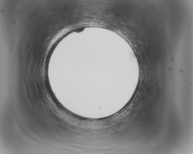 X0000085780008200704131841