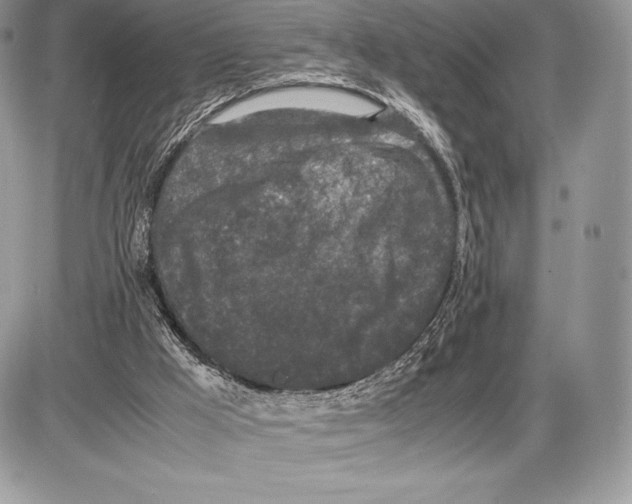 X0000085780009200704131841