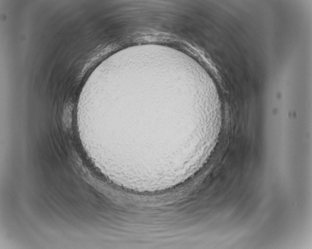 X0000085780010200704131841