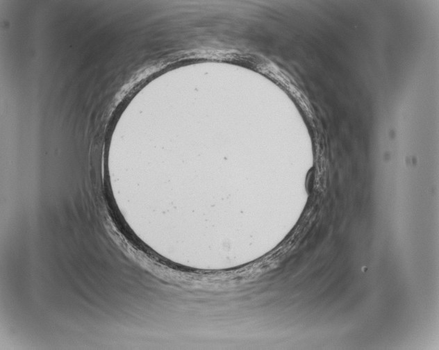 X0000085780011200704131841