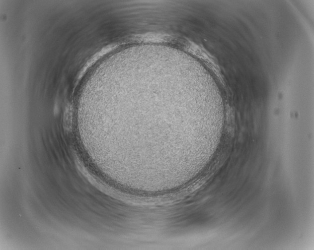 X0000085780012200704131841