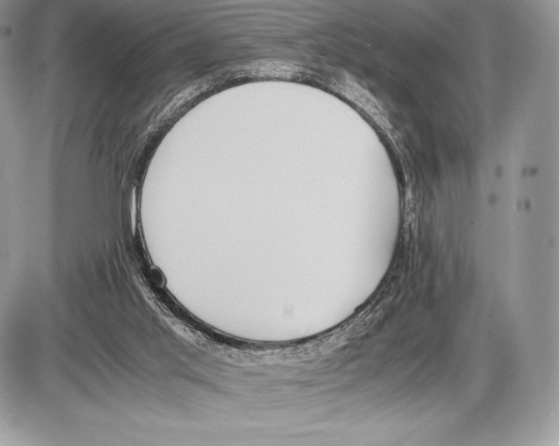 X0000085780013200704131841