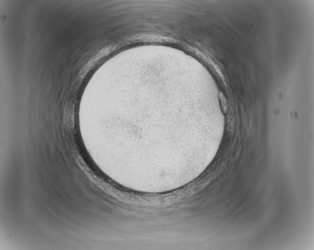 X0000085780015200704131841