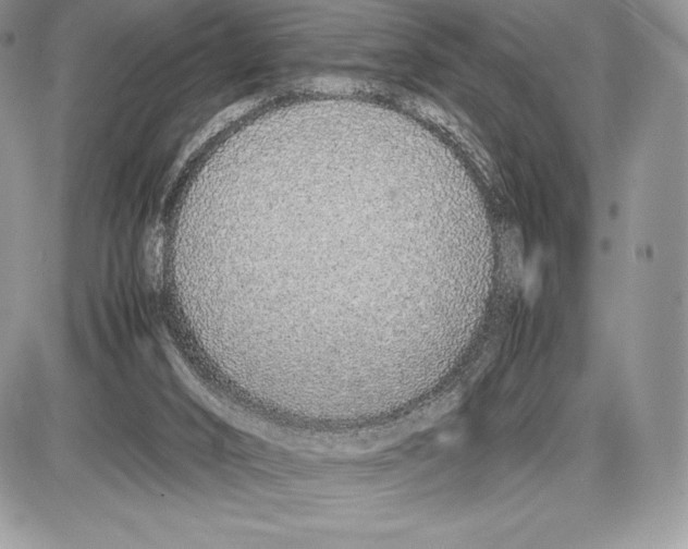 X0000085780016200704131841