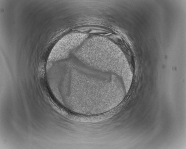 X0000085780017200704131841