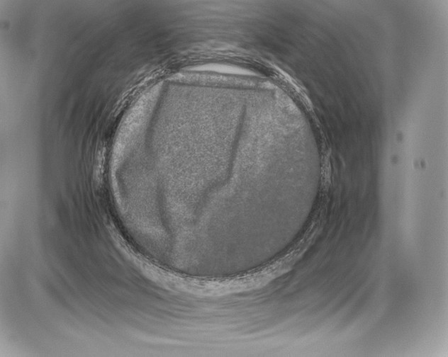 X0000085780018200704131841