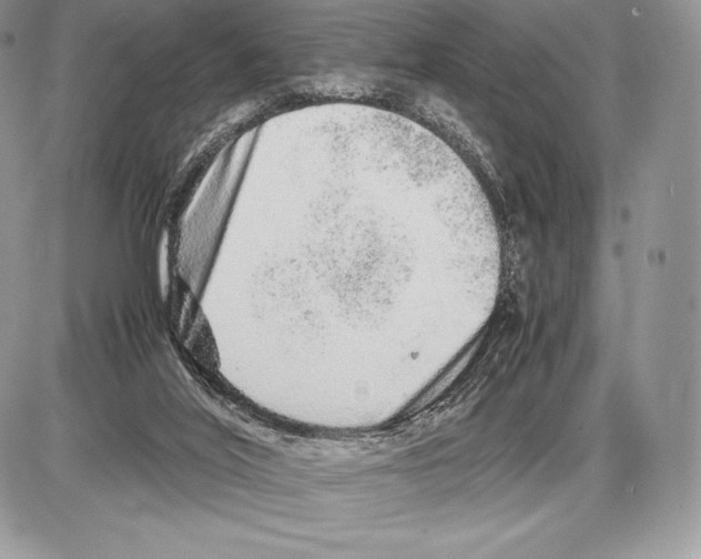 X0000085780020200704131840