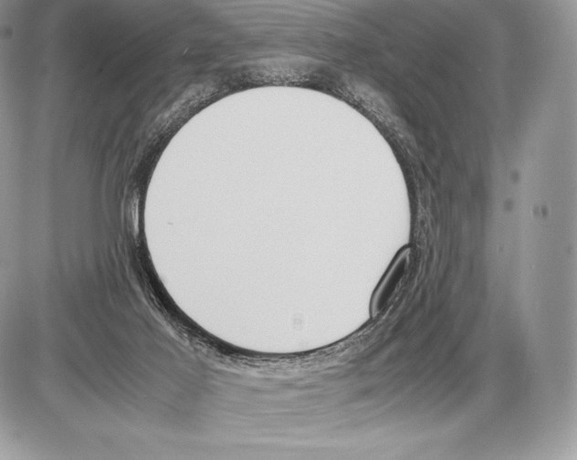 X0000085780021200704131840