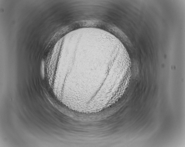 X0000085780022200704131840