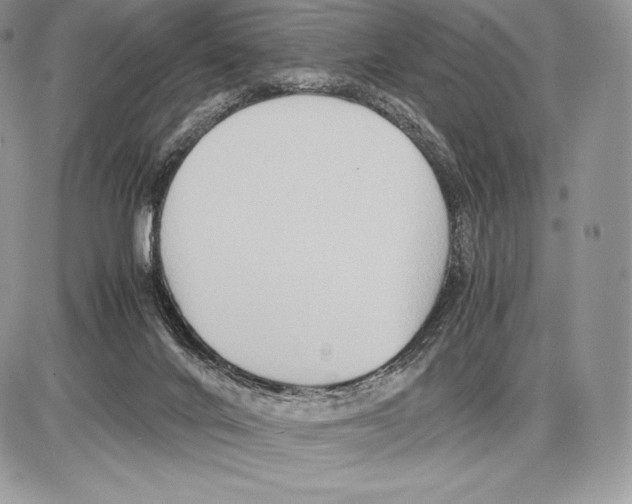 X0000085780024200704131840