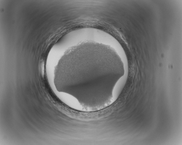 X0000085780027200704131840