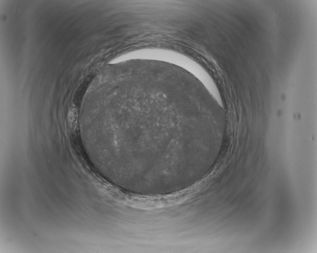 X0000085780029200704131840