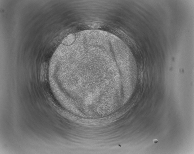 X0000085780030200704131840