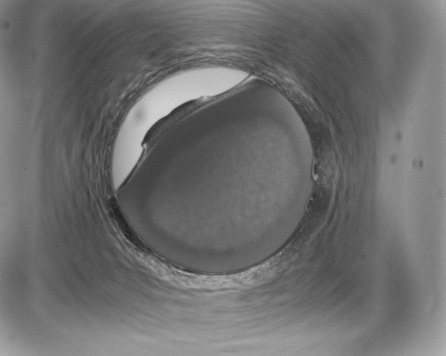 X0000085780031200704131840