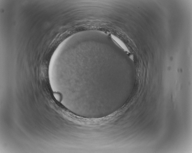 X0000085780035200704131840