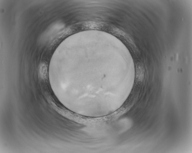 X0000085780036200704131840