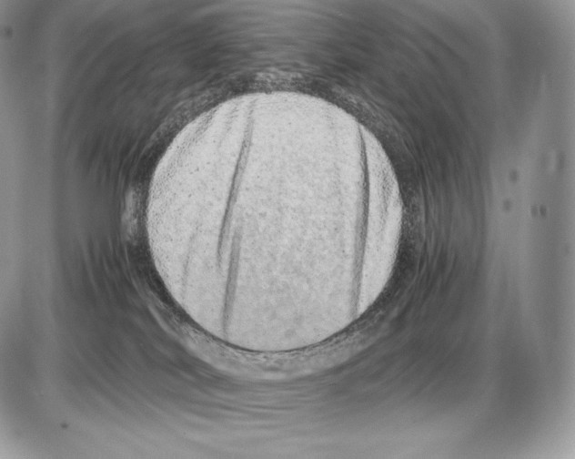 X0000085780038200704131840