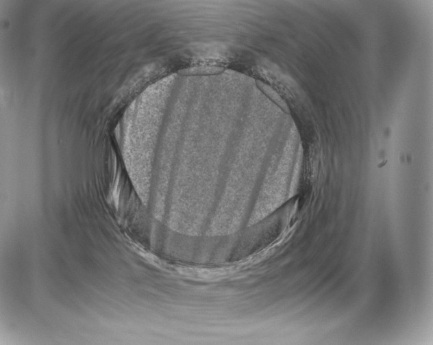 X0000085780041200704131840