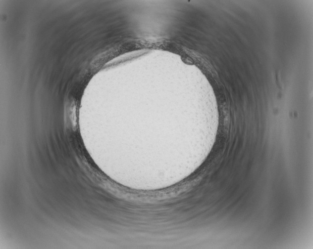 X0000085780042200704131840