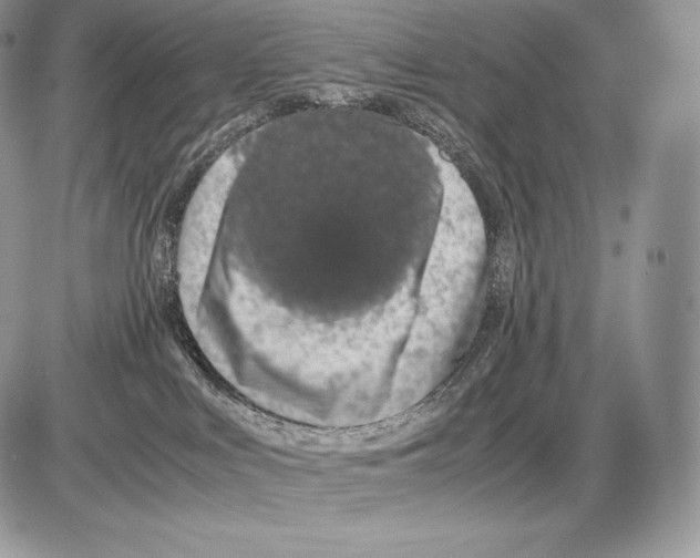 X0000085780043200704131840