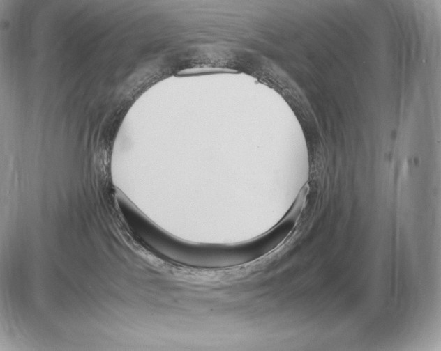 X0000085780045200704131840