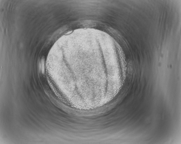 X0000085780046200704131840