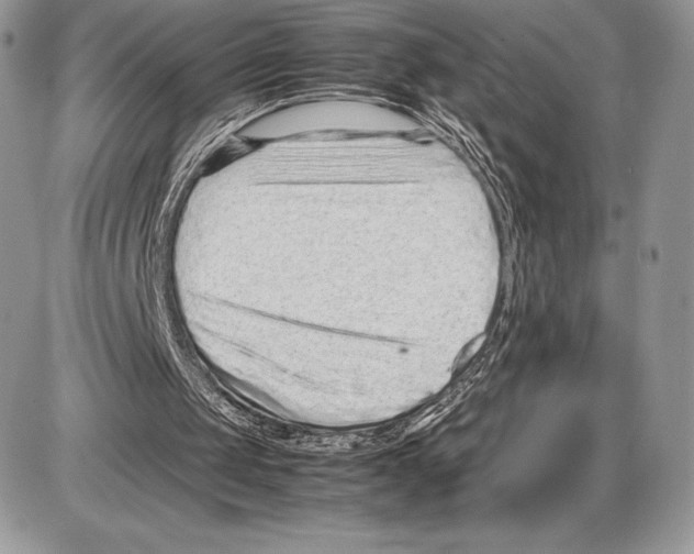 X0000085780049200704131839