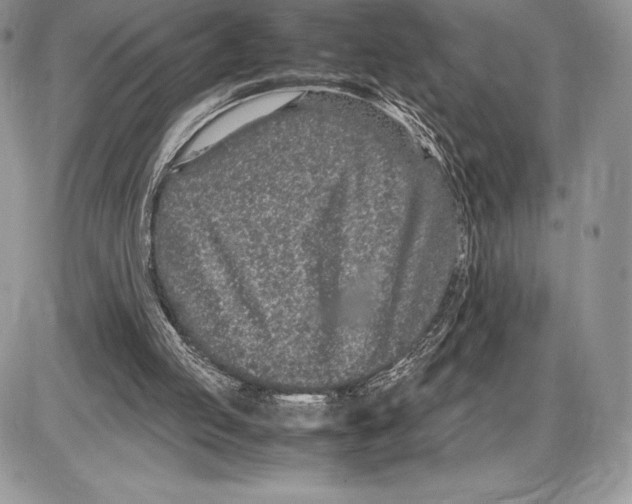 X0000085780053200704131839