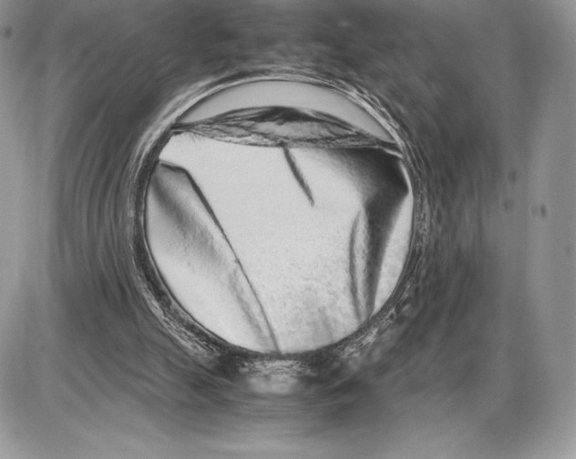 X0000085780055200704131839