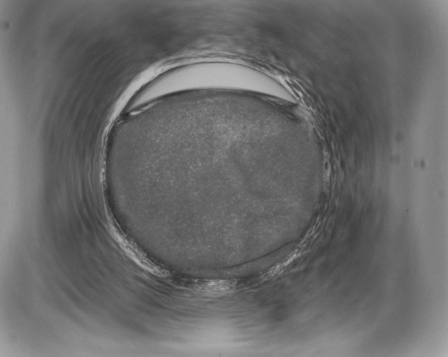 X0000085780056200704131839