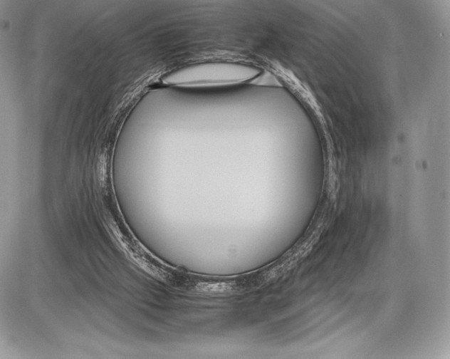 X0000085780057200704131839