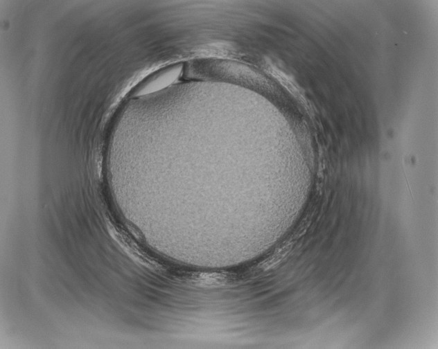 X0000085780060200704131839